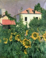 Zonnebloemen in de tuin van Petit Gennevilliers